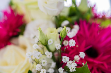 A closeup view of a bouquet with white roses, pink aster alpinus, and green spider mum flowers