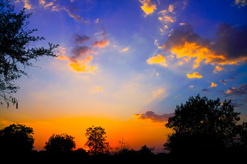 Obraz na płótnie Canvas Sunset / sunrise with clouds, Panoramic view of a cloudy sky at sunset
