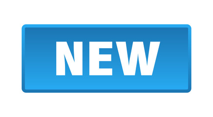 new button. new square blue push button
