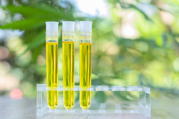 Research of hemp oil in glass tubes That will lead to the conceptual experiment of alternative...