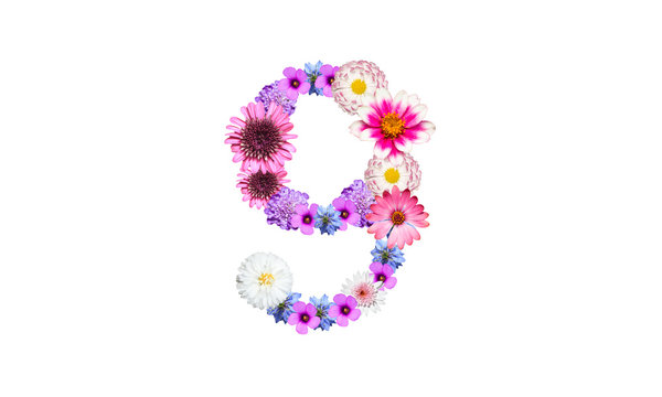 104 Best 花文字 Images Stock Photos Vectors Adobe Stock