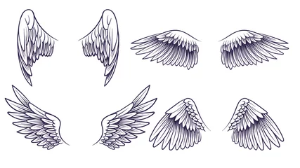 Fotobehang Sketch angel wings. Hand drawn different wings with feathers. Black bird wing silhouette for logo, tattoo or brand, vintage vector set © YummyBuum