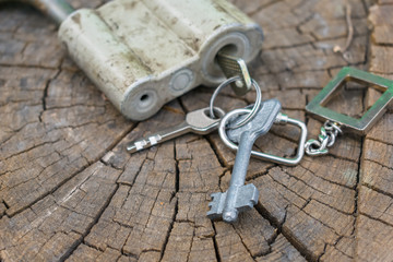Keys in a padlock close up lie on an old dry stump. A bunch of keys and a padlock in the open air