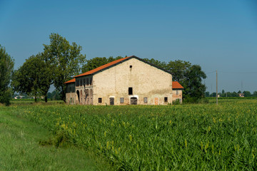 Obraz premium Country landscape in Reggio Emilia province
