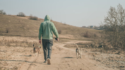 man walking in the countryside with two dogs