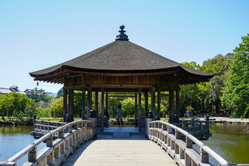 Fototapeta na wymiar 奈良県奈良市「奈良公園 浮見堂」の新緑