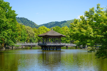 Fototapeta na wymiar 奈良県奈良市「奈良公園 浮見堂の新緑」