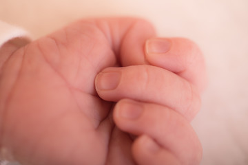 Tiny newborn's hand while he is sleeping. Small delicate little hand of newborn.