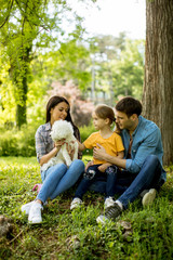 Beautiful happy family is having fun with maltese dog under the tree outdoors