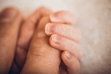 Fototapeta premium Touch of love. Close-up of baby's hand holding mother's finger. Newborn baby holding mother's hand, image with shallow depth of field.