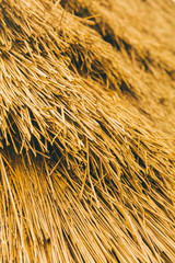 Backdrop with thatched roof detail