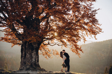 Stylish young couple in the autumn mountains. A guy and a girl stand together under a big old tree against the background of a forest and mountain peaks at sunset. The girl has a bouquet in her hands