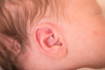 Delicate little ear of newborn. Close-up of baby newborn ear showing cute hairy ear and lots of baby hair.