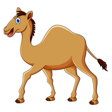 Cute camel cartoon design illustration