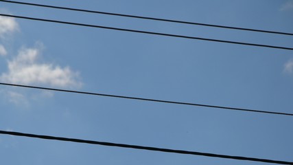 Fototapeta premium Power line cables running symmetrically across the blue sky. Electricity lines symmetry 
