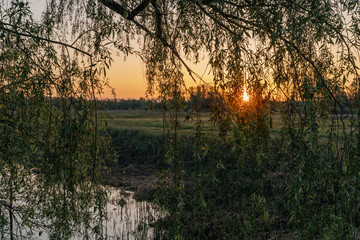 Fototapeta na wymiar Dawn over the lake. Beautiful evening blue sky at sunset with flaming bright light clouds. Warm summer evening at sunset. May.