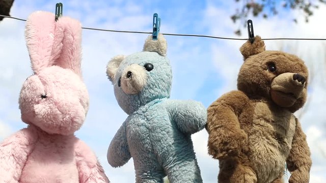 We hang and dry together a bunny and a bear, after washing with sunlight