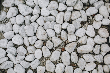 pebble texture white smooth round stone top view close up.