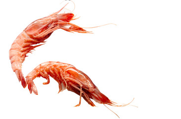 gambas, dos, sobre fondo blanco, vista cenital. Prawns, two, on a white background, top view.