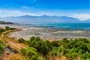 View of the coastline and rocks where the Fur Seals congragate in Kaikoura, New Zealand  