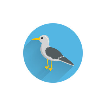seagull colorful flat icon with long shadow. gull flat icon