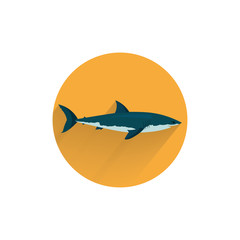 shark colorful flat icon with long shadow. shark flat icon