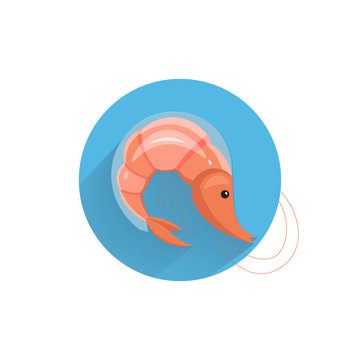 shrimp colorful flat icon with long shadow. shrimp flat icon