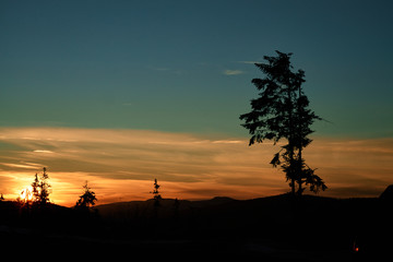 Sunrise/sunset with orange clouds and deep blue sky with tree silhouette in the foreground.