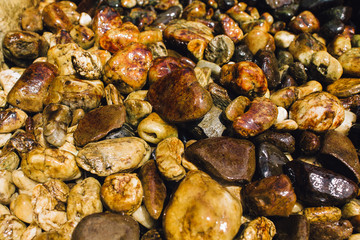 Flat shiny stones on the beach in Lipe. Thailand