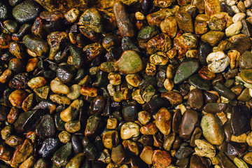 Flat shiny stones on the beach in Lipe. Thailand