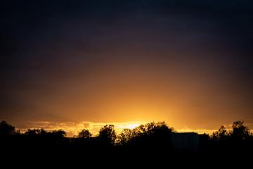 tree and city silhouette at dusk or dawn