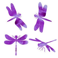 watercolor drawing silhouette dragonfly, insect, set
