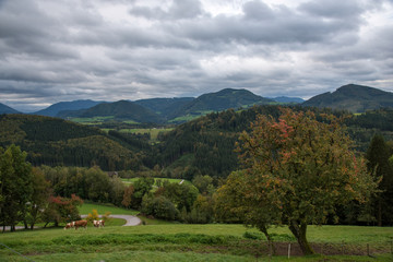 Fototapeta na wymiar Blick ins Tal