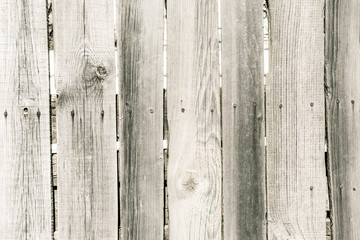 Obraz premium Wood texture, abstract wooden background. Natural grey board old in rustic style