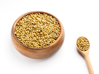 Spice coriander (Coriandrum sativum) seeds in wooden bowl and spoon isolated on white background. Diet and weight loss concept