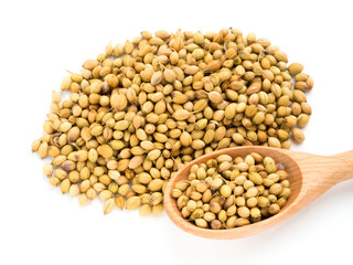 Spice coriander (Coriandrum sativum) bunch and spoon on white. Diet and weight loss concept