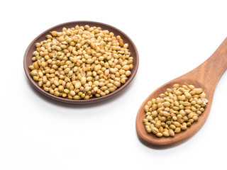 Spice coriander (Coriandrum sativum) seeds in clay plate and wooden spoon isolated on white background. Diet concept