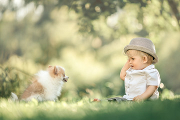 Fototapeta na wymiar little baby boy sitting on the grass in summer,, playing with a small Pomeranian puppy. Selective focus, space for text