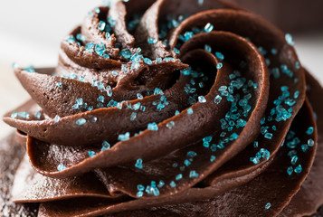 A macro close up view of chocolate frosting on top of a chocolate cupcake with blue sprinkles.