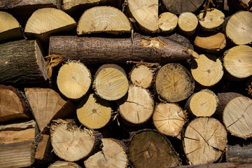Background of dry chopped firewood logs. Horizontal shoot