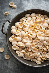 rustic dried italian orecchiette pasta
