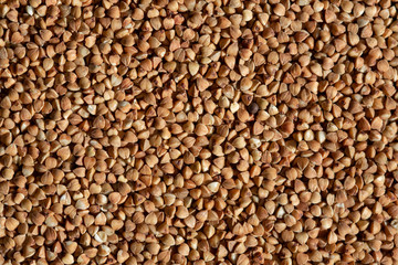 buckwheat groats background, texture, macro photo
