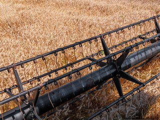 Wheat harvesting in the summer. Red harvester working in the field. Golden ripe wheat harvest...