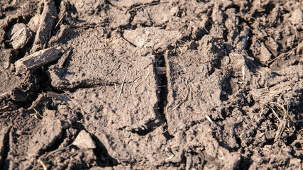 Dry cracked earth background. Mud, dirty and desert