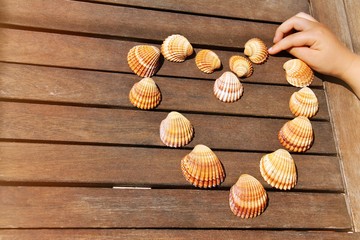 Heart shape made by sea shells