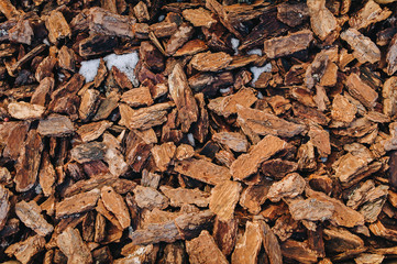Pieces of pine bark are carpeted on the surface of the earth. Red brown natural background and texture. Concept of soil mulching in landscape design.