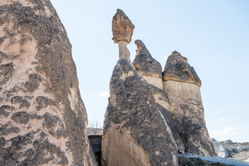 Fairy chimneys in the Pasabag velley or Monks Valley, with  Highly remarkable earth pillars  in...