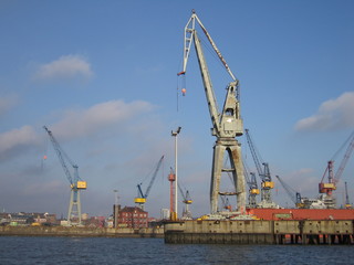 Fototapeta na wymiar Kräne im Hafen bzw. Hochseehafen in Hamburg