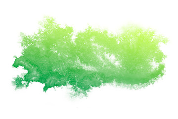 Abstract green watercolor textuer on white background.