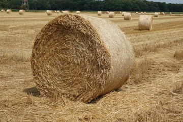 Rundballen auf einem Getreidefeld